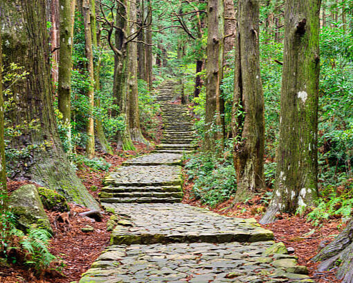 Camino de Kumano: espiritualidad en el país del sol naciente (viaje en grupo hasta noviembre 2025) 